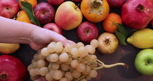 Assorted seasonal fruits alt