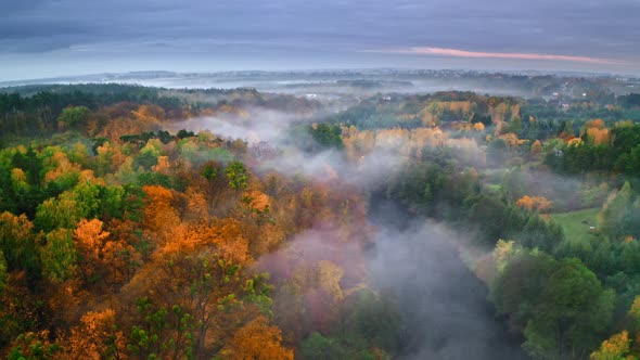 Foggy river and forest in autumn at sunrise, aerial view alt