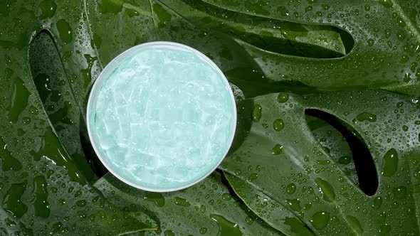 Blue Cosmetic Cream with Rotation on Background of Tropical Leaves Monstera alt