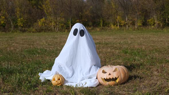 Ghost with pumpkins alt