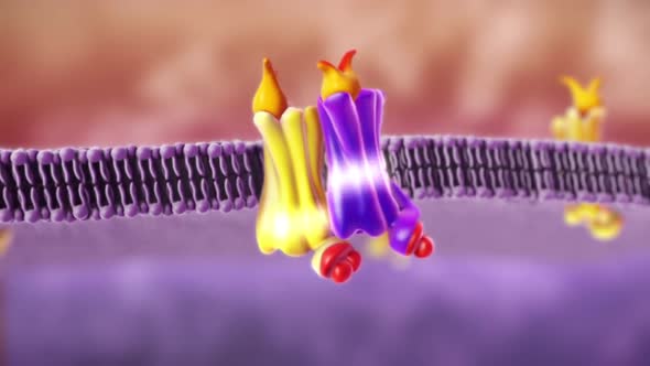 Cell Membrane and Molecules, 3d rendering. alt