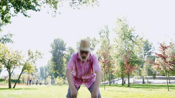 Four old friends at the park alt