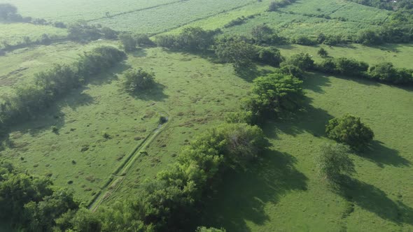 Crop fields landscape on fertile agricultural land Cinematic motion