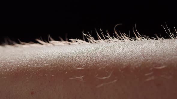 Hand Surface with Hair Closeup alt