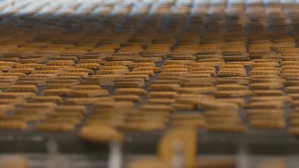 Worker at the Conveyor Sorts the Cookies