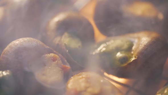 Snails Are Cooking on Grill Close-up