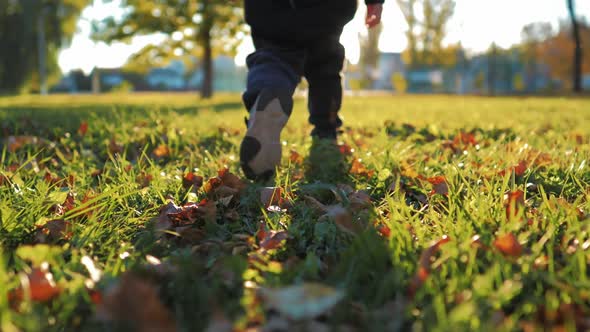 Child Running in the Yellow Leaves alt