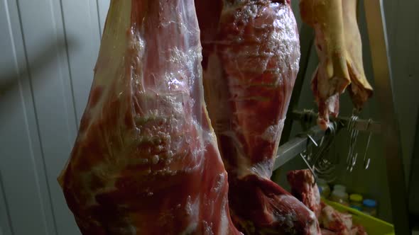 Carcasses of Raw Beef Meat Hanging on Hooks alt