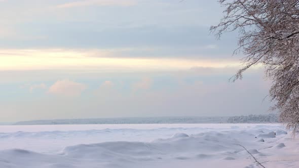 Beautiful Winter Landscape with Field of White Snow and Tree Branches in Hoarfrost at Sunset Frosty