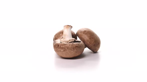 Three Champignon Mushrooms Spinning on White Background alt