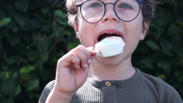 Cute kid eating an icecream on a hot summer day