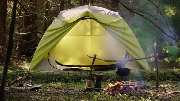 Camp in a Beautiful Forest alt