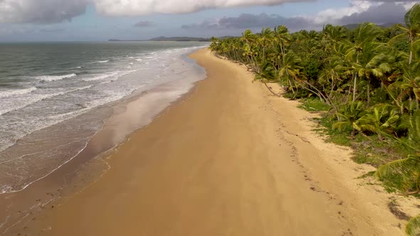 Mission Beach in Queensland aerial with palm trees, waves and golden sand, Australia alt