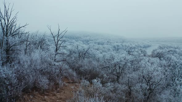 Beautiful Winter Landscape of Nature alt