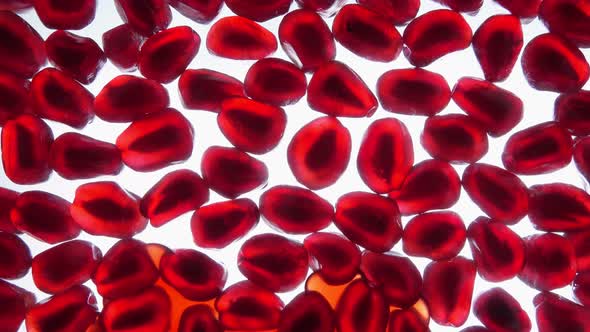 Juice is Flowing on the Red Grains of Pomegranate Laying on a Shining Background alt