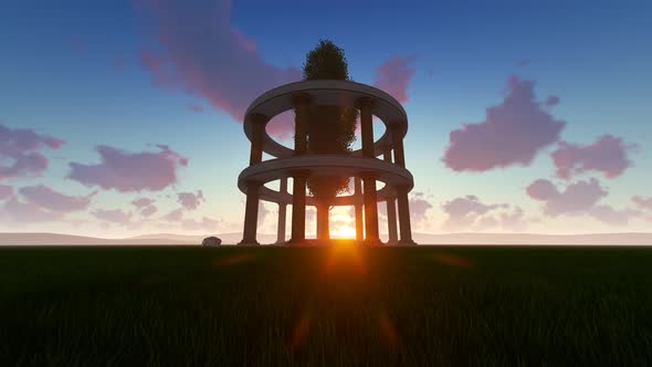 Along Tree At Sunset alt