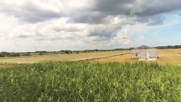 Aerial shot of sugar cane crops and planting fields alt