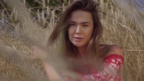 Portrait Pretty Woman Enjoying Nature and Sunlight in Wheat Field at Incredible Colorful Sun Rays alt