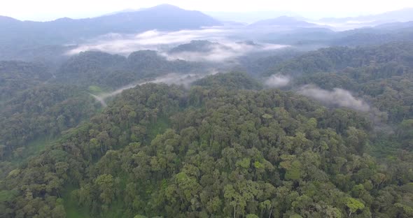 Nyungwe Rainforest Flight