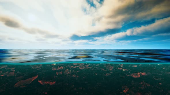 Underwater View with Horizon and Water Surface Split By Waterline alt