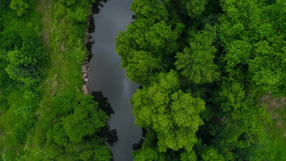 Aerial view of stunning forest and river in summer alt