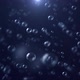 Bubbles - VideoHive Item for Sale