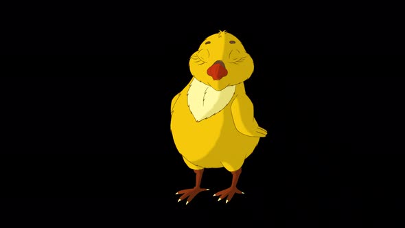 Little orange chicken looks around (alpha matte)  alt