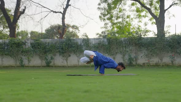 Peacock yoga pose alt