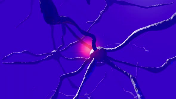 Electric impulse running through a neural network of brain cells
