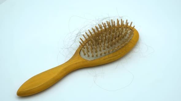 Hairbrush with fallen out hair. Lots of fallen hair on a comb. Hair loss problem