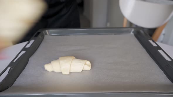 Housewife Teaching on a Baking Sheet Raw Croissants is Preparing to Bake