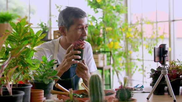 Senior gardener man selling beautiful plants on social media by streaming live from his shop. alt