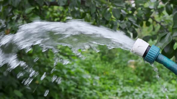 Hand sprays water from a garden hose on an outdoor garden. Summer.