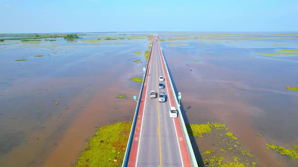 Drone video of the road leads through a large beautiful wetland. alt