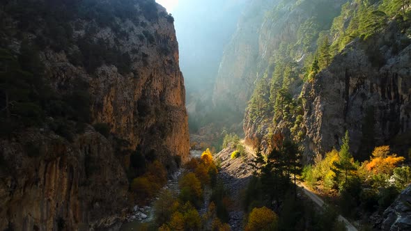 Rocks Among Trees In Autumn alt