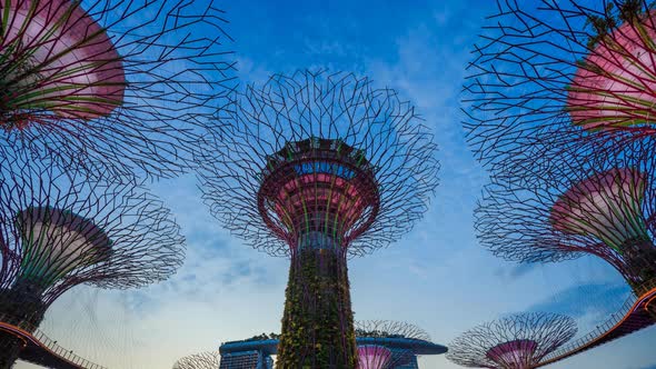 4k Day to night Time-lapse of Gardens by the bay with light at Singapore
