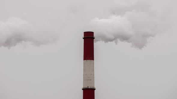 Pipe Thick Clouds of Smoke in the Air Thermal Power Station Exhaust Steam, Atmosphere Pollution alt