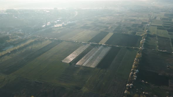 Aerial View of Agricultural Fields Near the City Suburb in the Morning at Sunrise alt