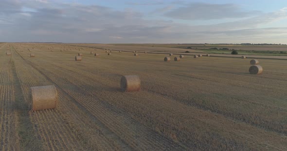 Aerial view of a field with hay bales alt