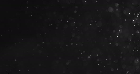 White Bubbles and Particles in Water against Black Background alt