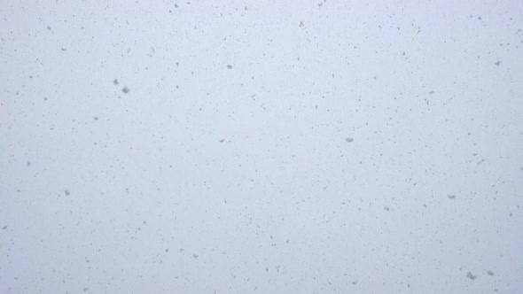 Looped Seamless Footage of Fresh White Snow Falling