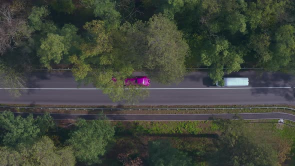 Purple Limousine Driving Fast Along the Forest Road
