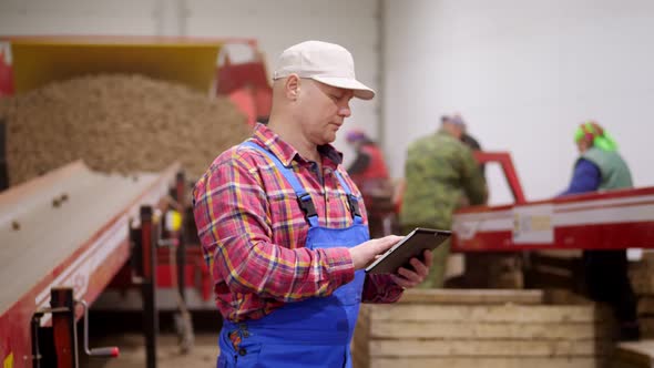 Farmer Monitor Quality of Potatoes with Digital Tablet, on Sorting Conveyor Belt in Potato Storage alt