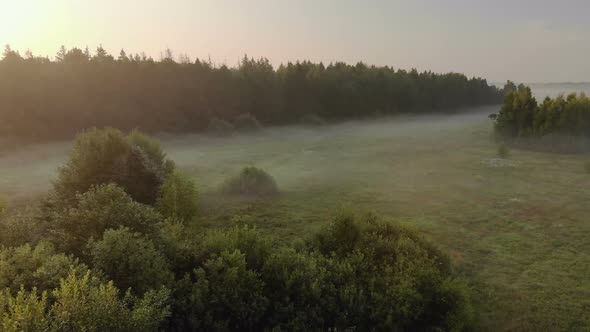 Landscape Sunrise Bright Sun Over a Misty Meadow with Trees on a Clear Morning. Natural Rural Scene alt