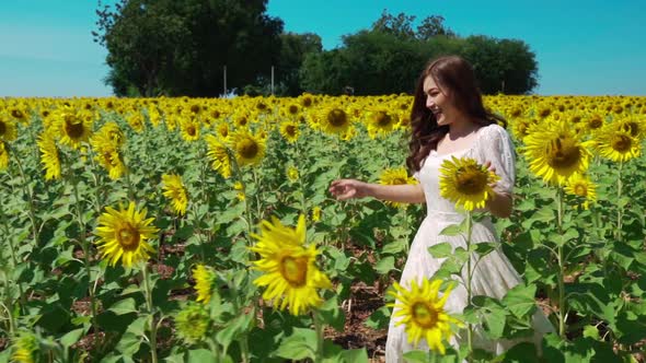 slow-motion of cheerful woman walking and enjoying with sunflower field alt