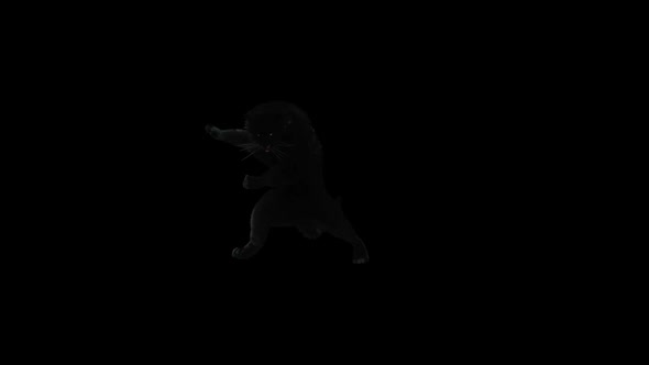 Panther Dancing HD alt