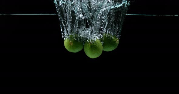 Green Lemons, citrus aurantifolia, Fruits falling into Water against Black Background alt