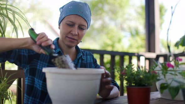 Woman At Home In The Attic Plants Beautiful Flowers In Pots alt