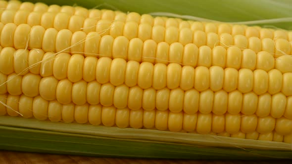 Corn 6 alt