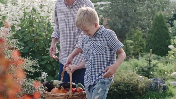 Little Boy and Elderly Man Carrying Basket with Harvest alt